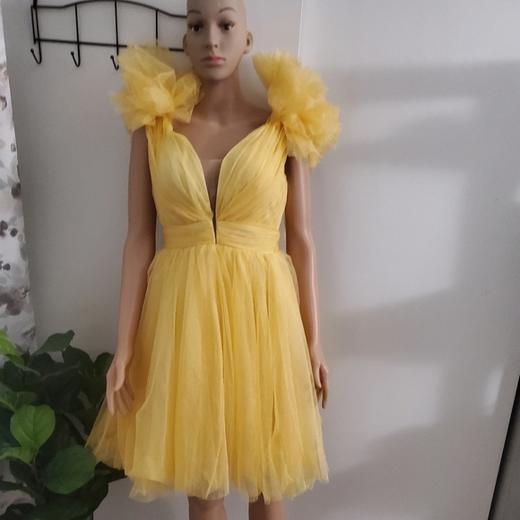 Mini Tulle Dress - Picture 1 of 16
